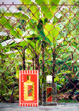 Load image into Gallery viewer, shiling oil, trini remedies, trinidad remedies, trini medicine, trinidad medicine, trinidad foods, trinidad street food, trinidad, tobago, trini food, trini drinks, trinidad drinks, soft candle, limacol, bay rum, alcolado, Trinidad products London, Trinidad products UK,  Trinidad and Tobago, Trinidad, My Trini Shop, Trinidad Shop, Trini Shop, Trini food London, Caribbean foods, Caribbean Shop London, Caribbean, Trinidad Grocery, Trinidad food, Caribbean Grocery
